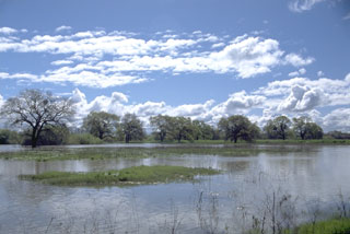 Cosumnes River